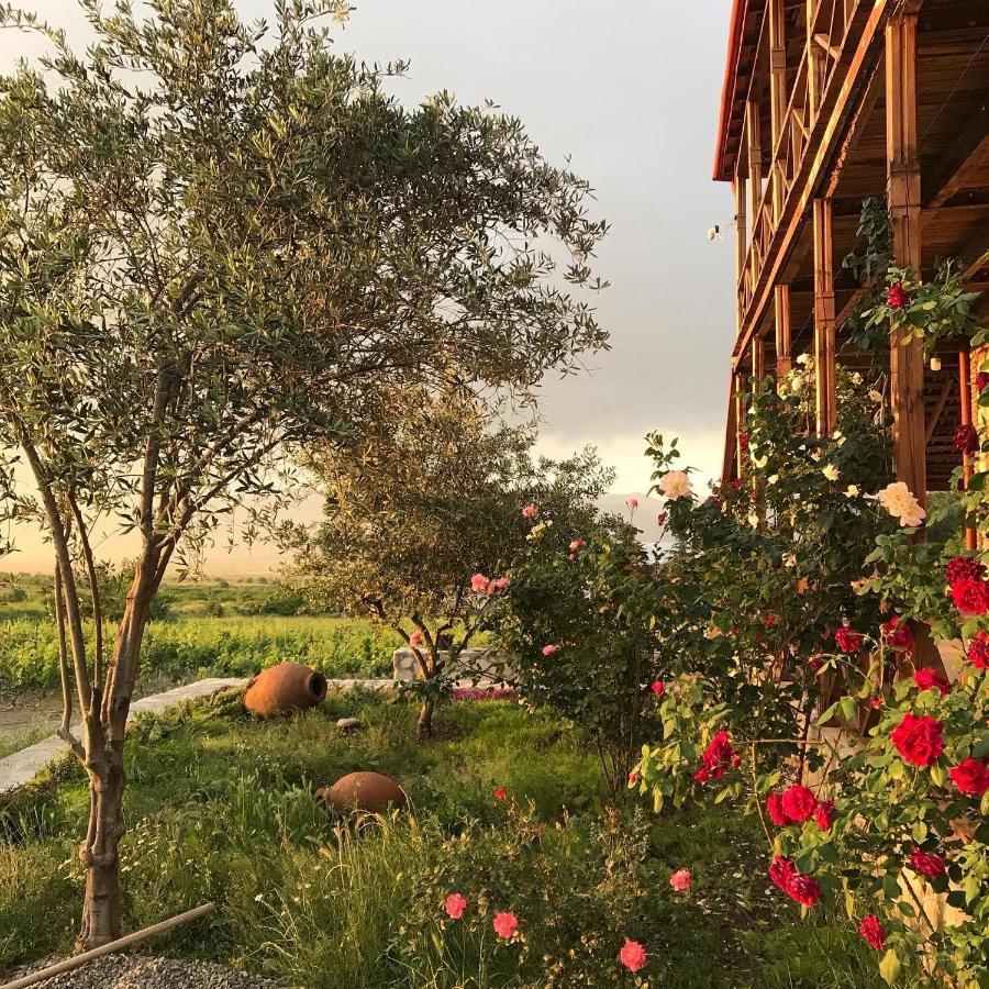 Elizbar Talakvadze Winery Villa Kardanakhi Buitenkant foto