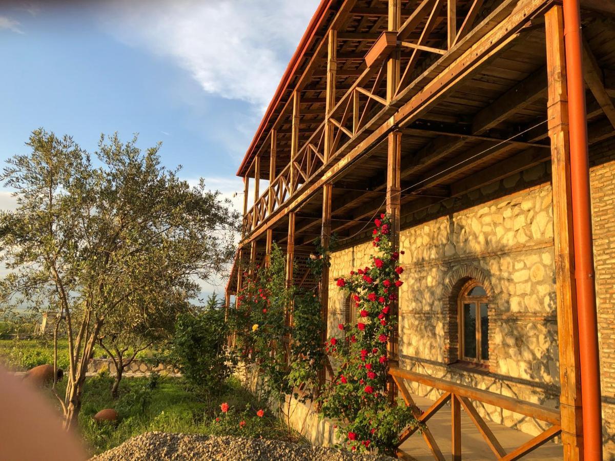 Elizbar Talakvadze Winery Villa Kardanakhi Buitenkant foto