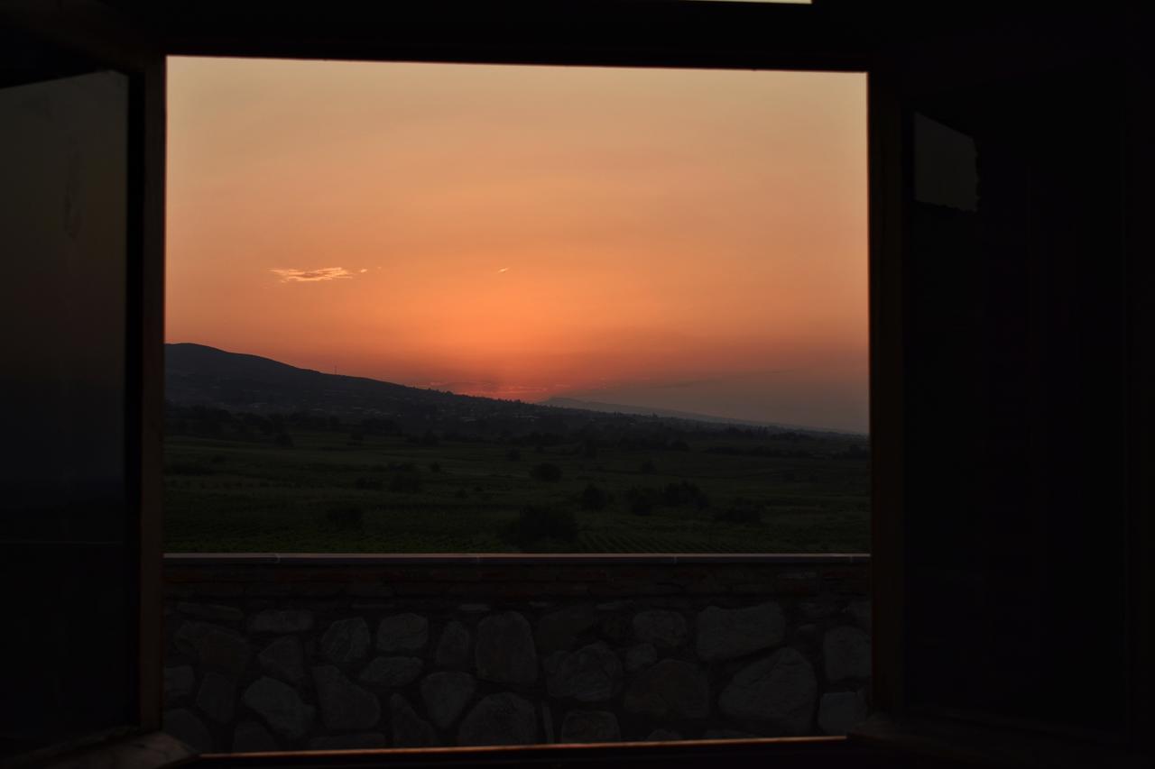 Elizbar Talakvadze Winery Villa Kardanakhi Buitenkant foto
