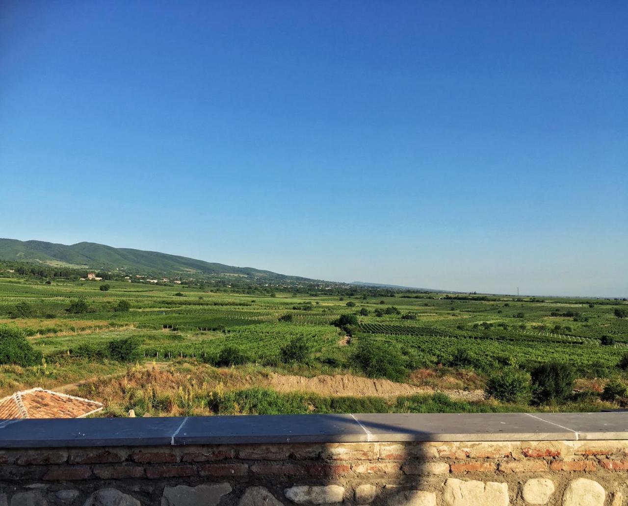 Elizbar Talakvadze Winery Villa Kardanakhi Buitenkant foto
